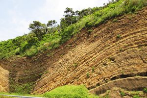 地盤環境（土壌・地下水汚染調査）